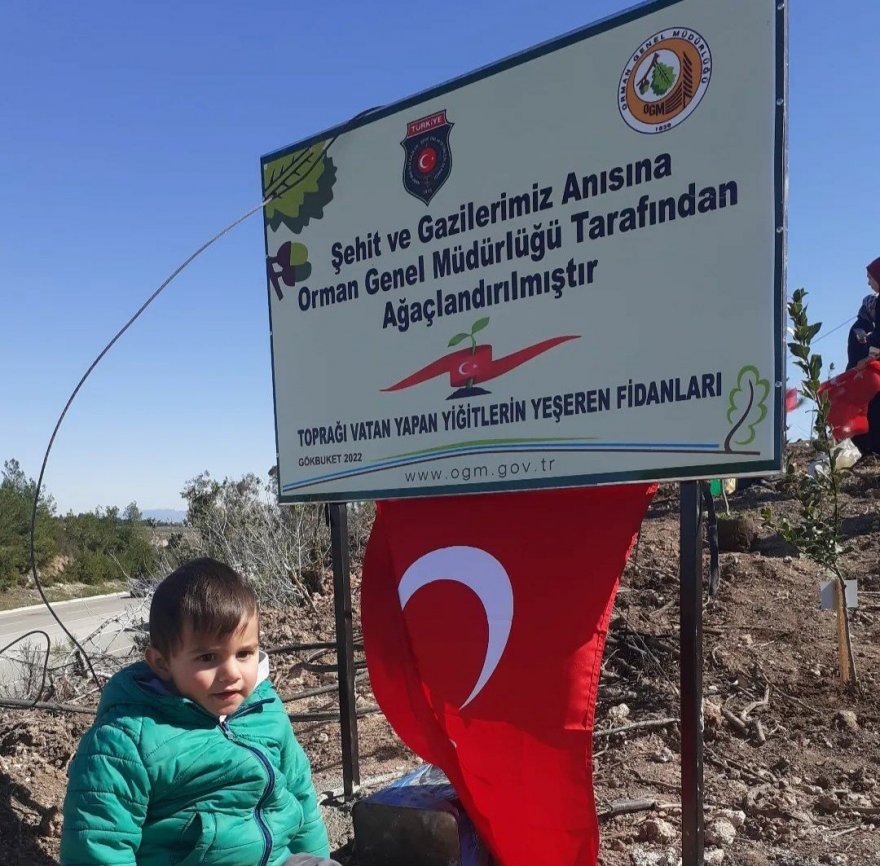 Adana'da yanan ormanlık alanı, şehit ve gazi yakınları yeşertti