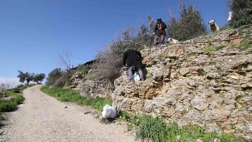 Yolu kapatılan besici kadın hayvanları için gözyaşlarına boğuldu