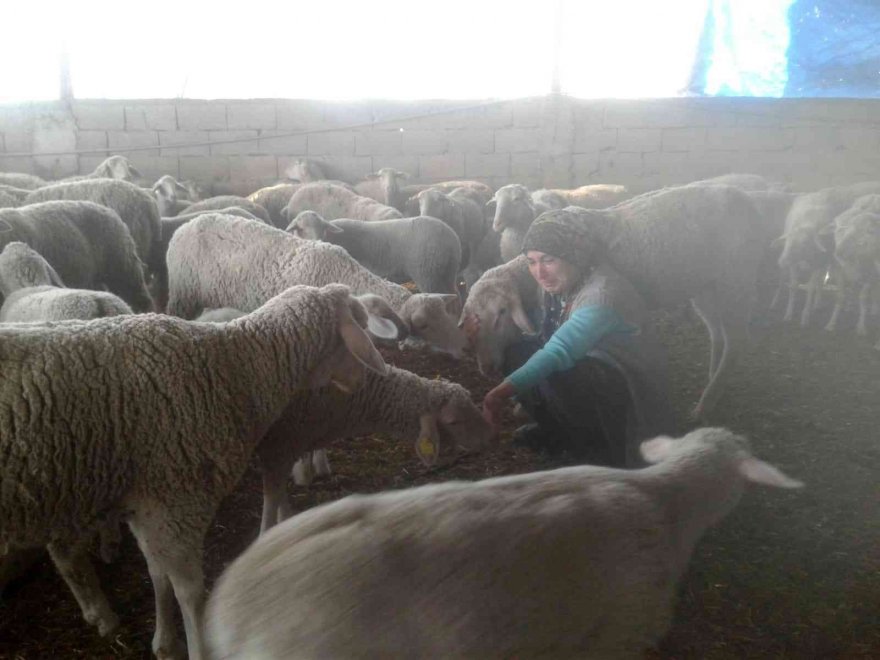 Aladağ'da yolu kapatılan besici kadın açlık grevine başladı