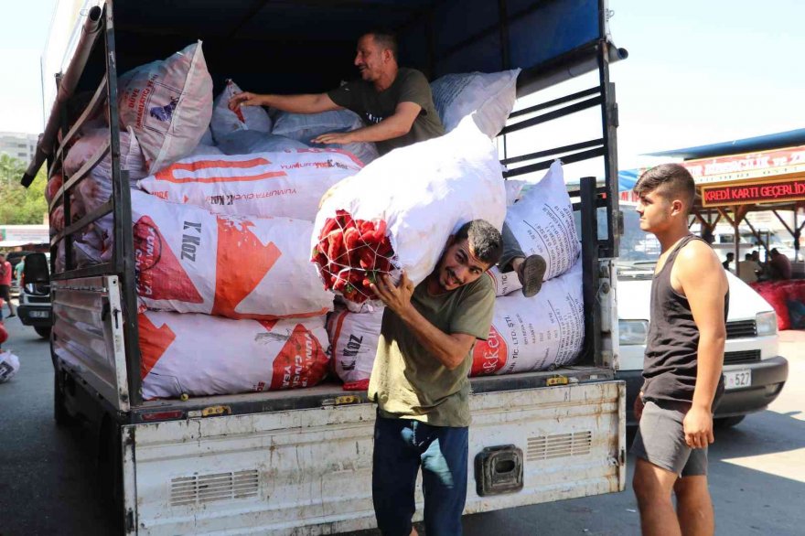 Adana’da salça sezonu başladı, damlar kırmızıya boyandı