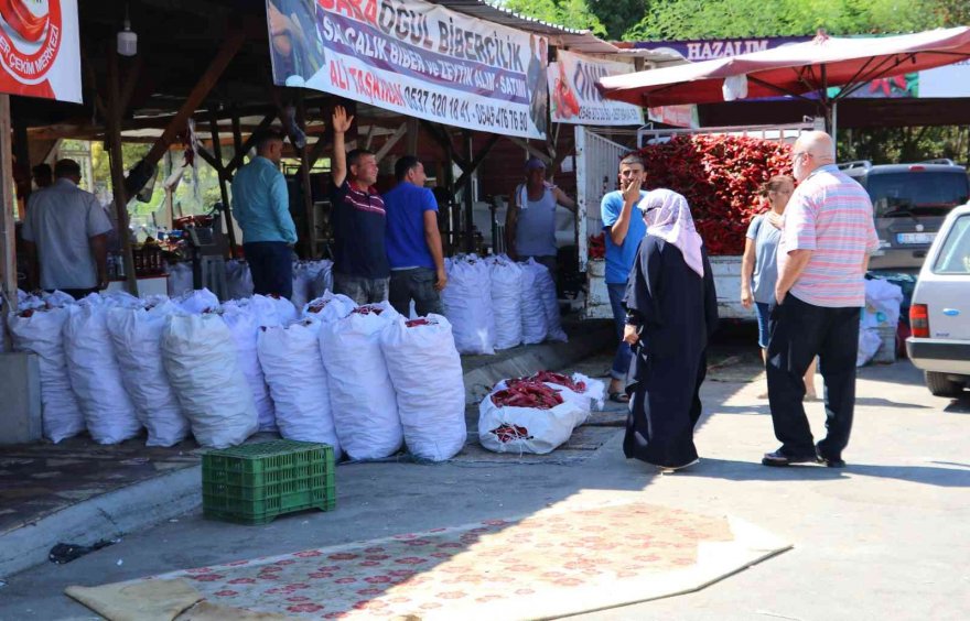 Adana’da salça sezonu başladı, damlar kırmızıya boyandı