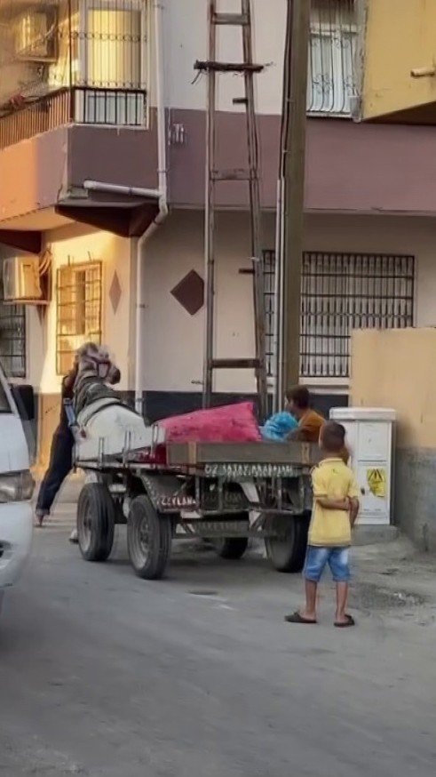 Yürümek istemeyen ata yumruk atarak eziyet etti