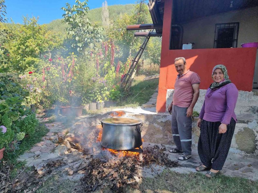 Üzümün meşakkatli pekmez yolculuğu başladı