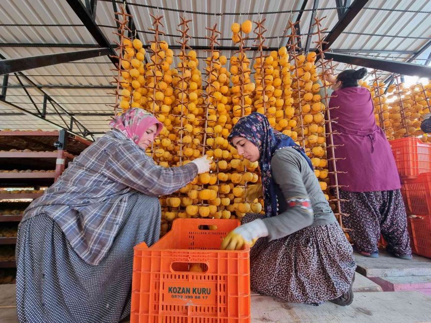 Bu meyvenin kurusu yaşından 10 kat pahalıya satılıyor