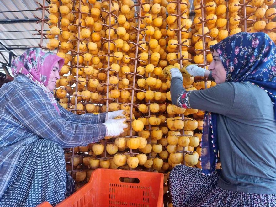 Bu meyvenin kurusu yaşından 10 kat pahalıya satılıyor