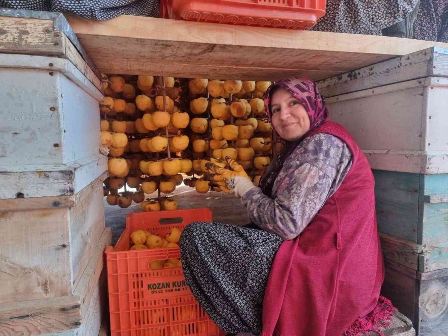 Bu meyvenin kurusu yaşından 10 kat pahalıya satılıyor