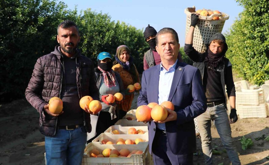 Hasadı başladı, sadece yüzde 10’u Türkiye’de tüketiliyor, yüzde 90’ı ihraç ediliyor