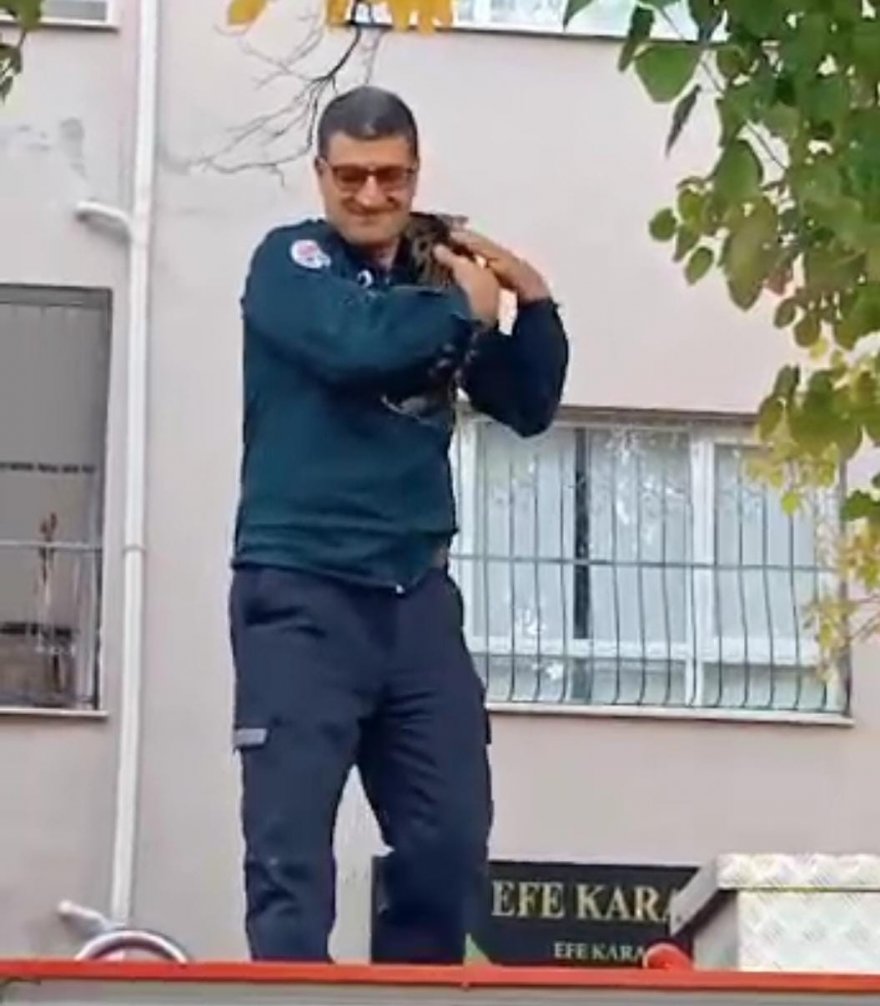 Mahsur kalan kedi, itfaiye erinin omzunda aşağı indi