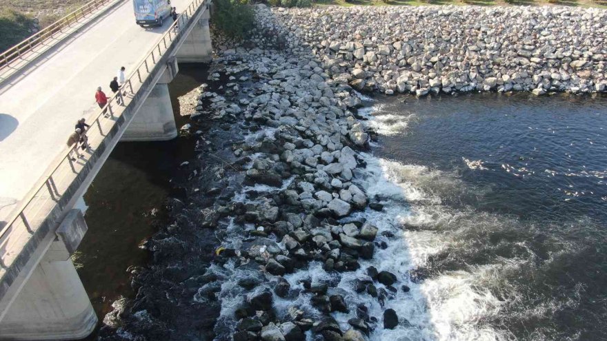 Ceyhan Nehri’nde balık ölümleri: Binlerce balığın ölüm nedeni araştırılıyor