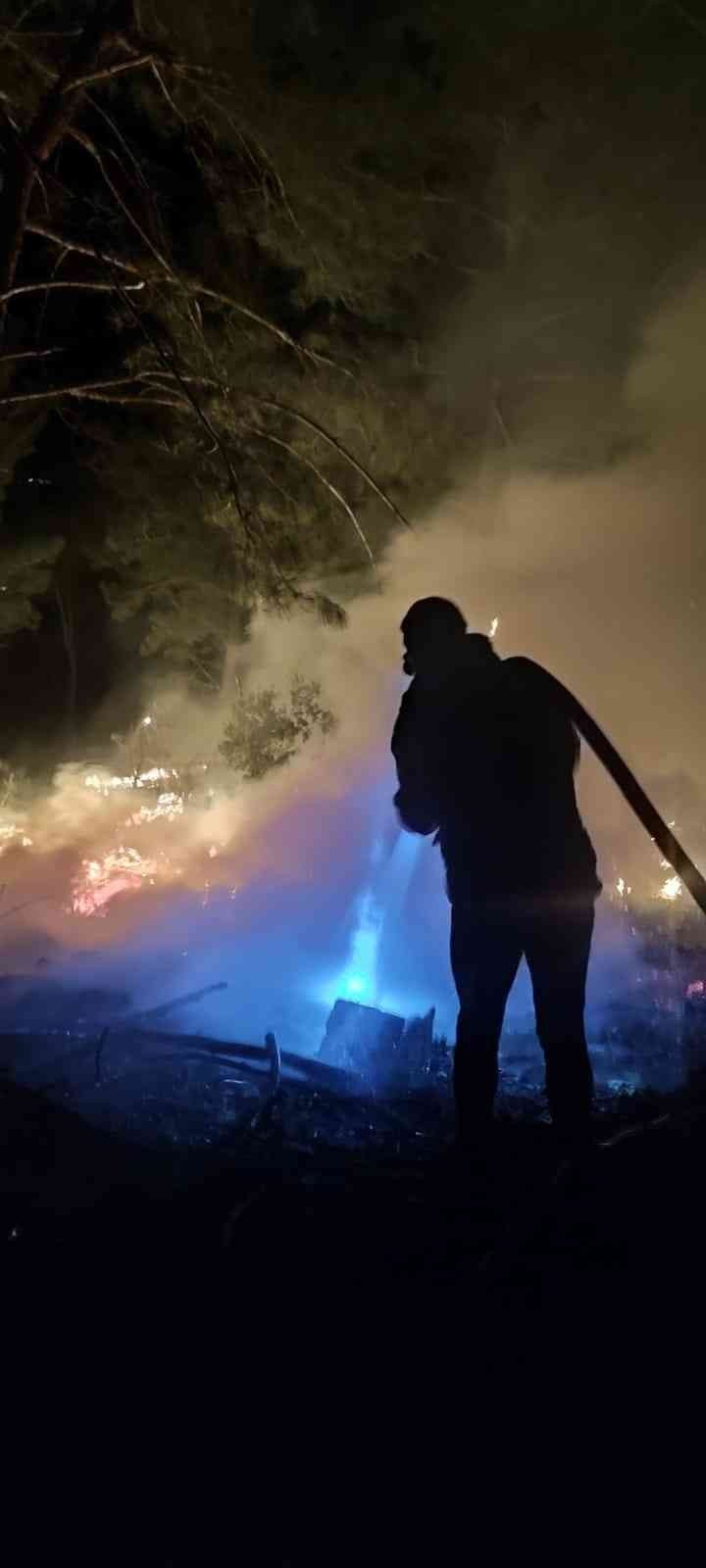 Orman yangını erken müdahale ile söndürüldü