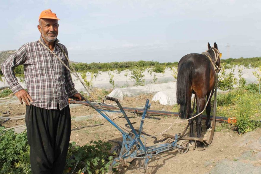 Kara sabanla tarım mesaisi başladı