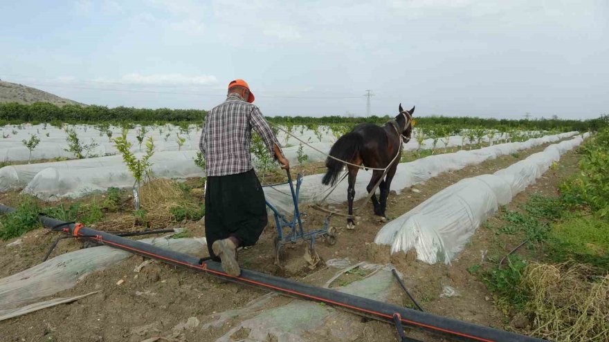 Kara sabanla tarım mesaisi başladı