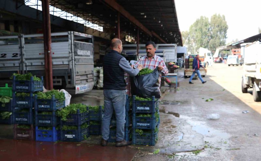 Bayram öncesi sebze ve meyve fiyatları düşebilir