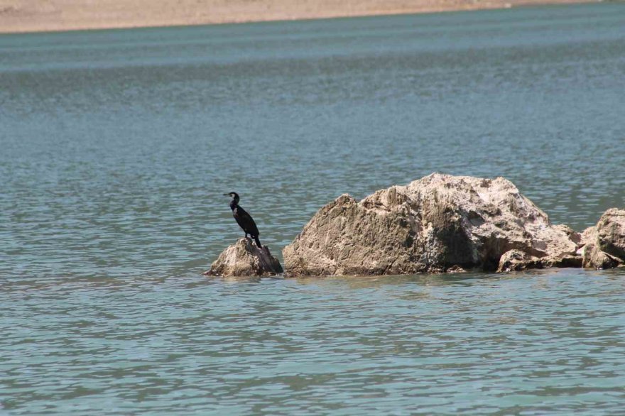 Barajlarda su seviyesi arttı, doğa turizmi başladı