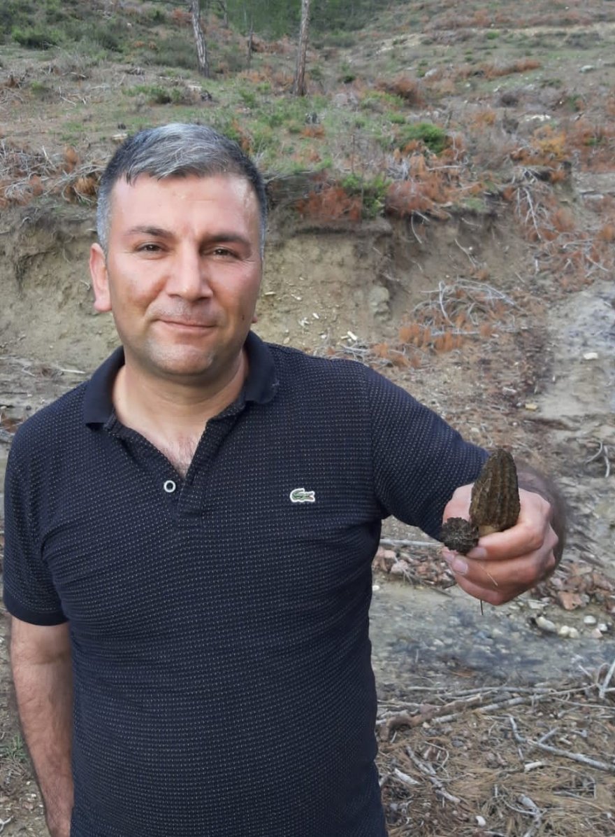 Yağmur yağdı vatandaşlar mantar avına çıktı