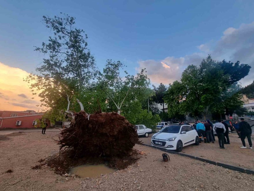 Adana'da 10 dakikalık yağan yağmur ağaç devirdi, dereleri taşırdı