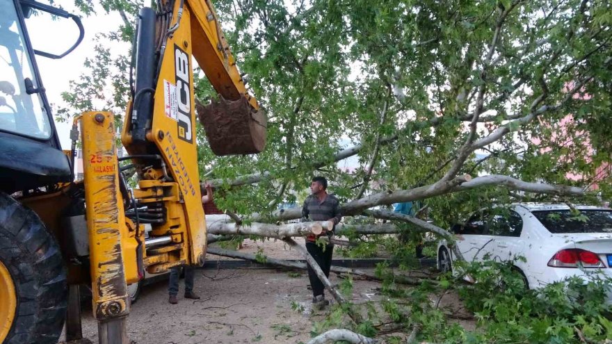 Adana'da 10 dakikalık yağan yağmur ağaç devirdi, dereleri taşırdı