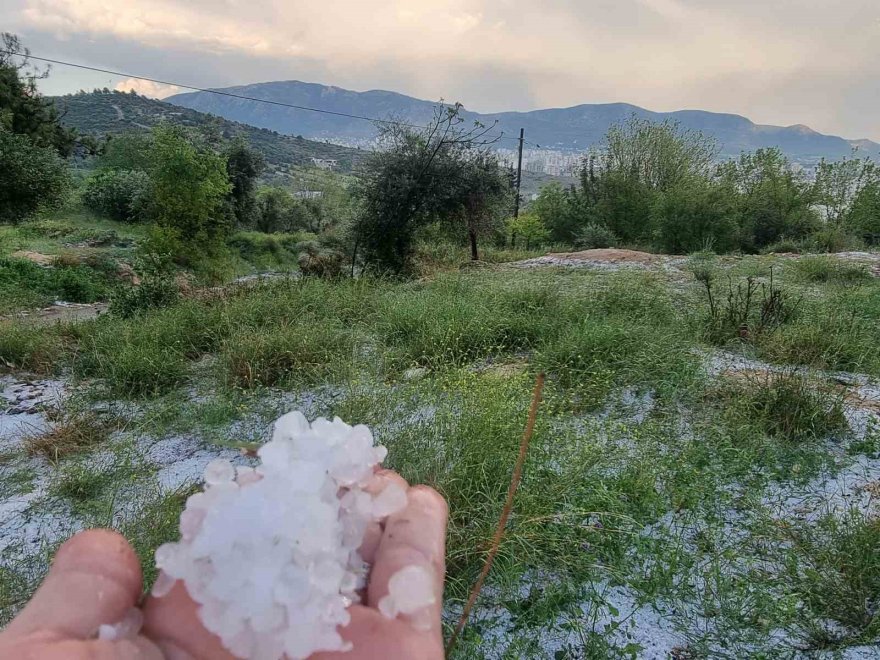 Adana'da 10 dakikalık yağan yağmur ağaç devirdi, dereleri taşırdı