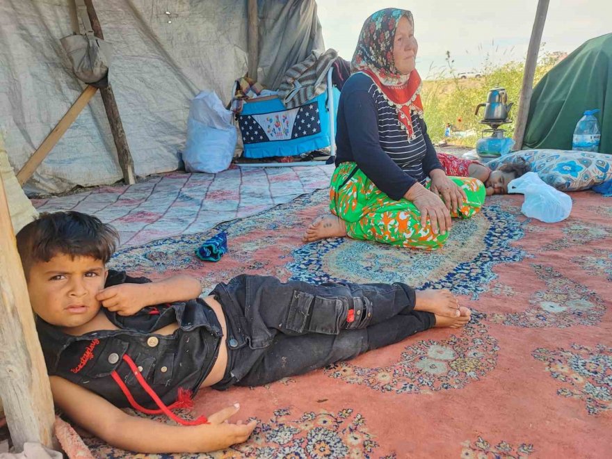 Çocuklarının bakmadığı yaşlı kadını çadırda da barındırmıyorlar