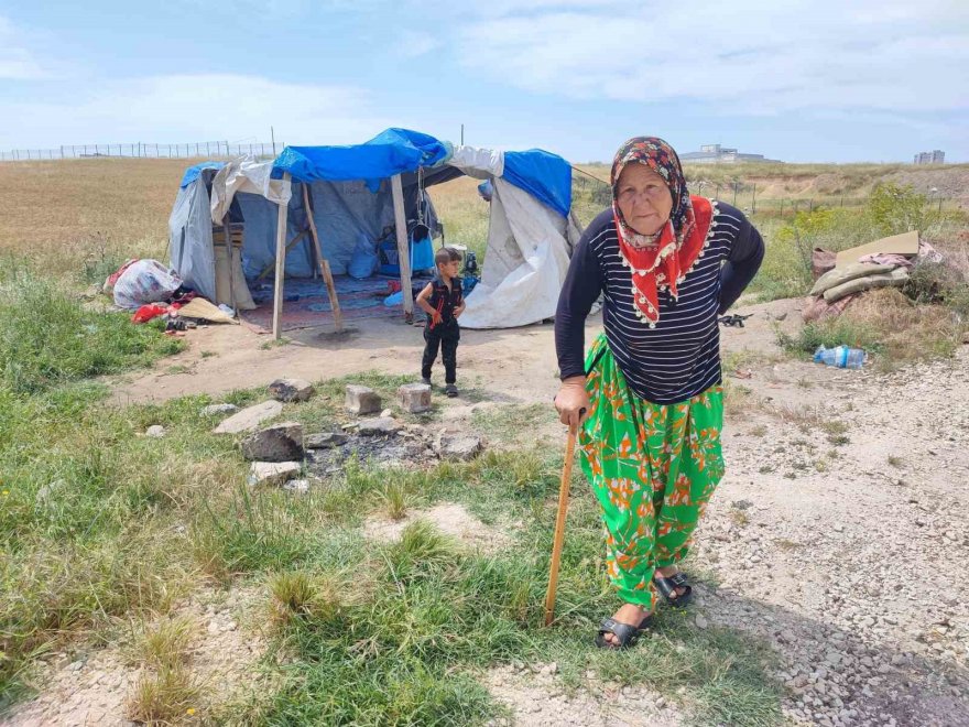 Çocuklarının bakmadığı yaşlı kadını çadırda da barındırmıyorlar