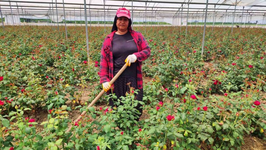 Adanalı hayırsever gül serası kurdu, gelirini çocuklara bağışladı