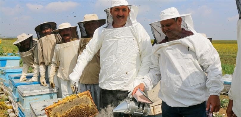 Adana’dan bal hasadı başladı