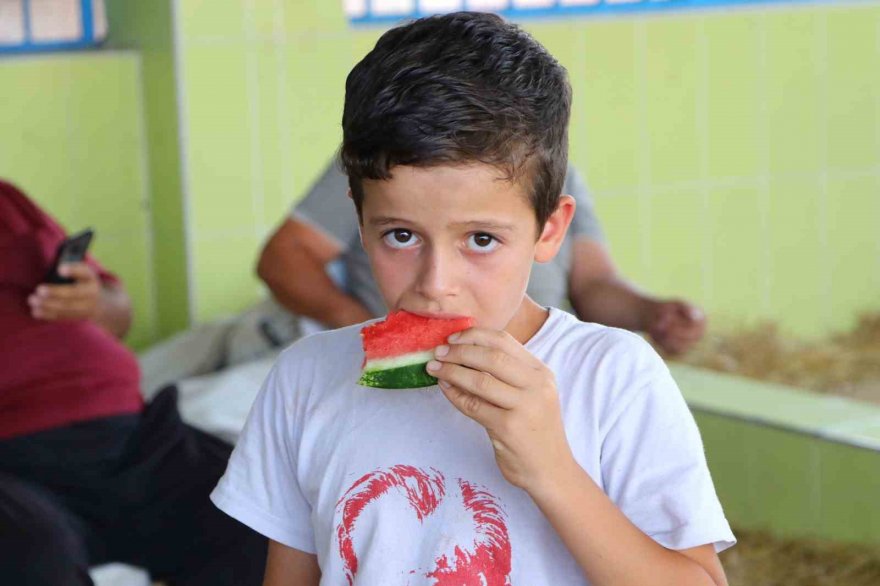 Serin giden hava, karpuzun fiyatını 1 liraya kadar düşürdü