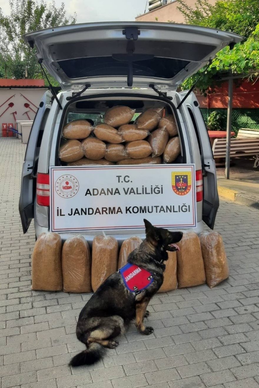 Adana’da kaçak 255 kilogram tütün ele geçirildi