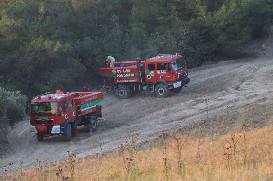 Adana’daki orman yangını kontrol altına alındı