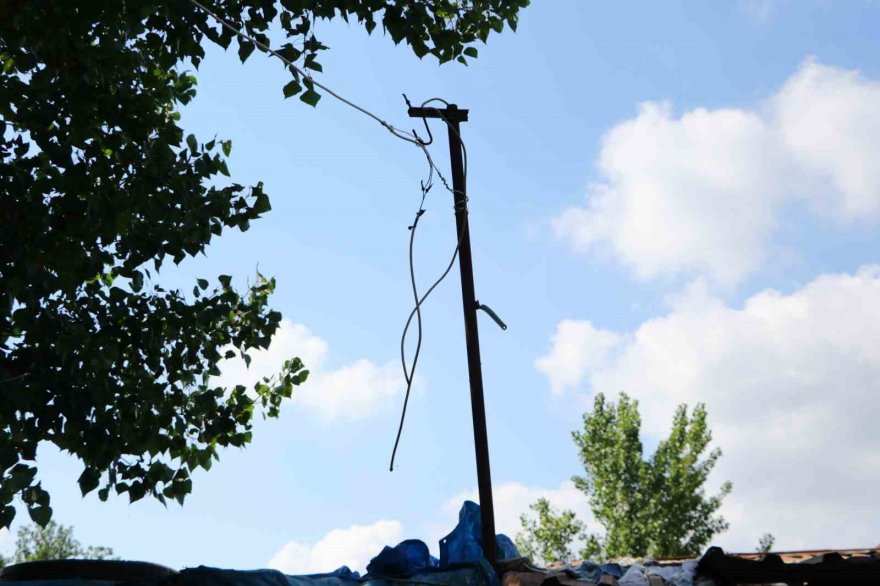 Geçim kaynağı 10 ineği elektrik akımına kapılarak telef oldu