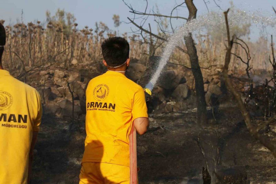 Adana’da 25-30 hektarın yandığı orman yangını kontrol altına alındı