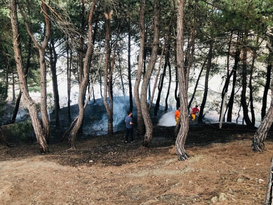 Kozan'da yangın söndürüldü, vatandaş piknikçilere tepki gösterdi