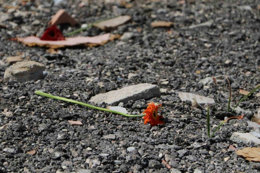 Sanıklar tahliye edildi, depremde ailesini kaybeden avukat enkaza karanfil bıraktı