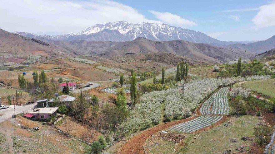 Adana Büyükşehir’den üreticiye destek