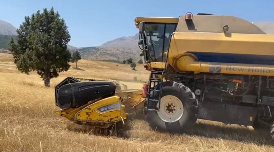 8 dönüm buğdayı hasat edemeden yandı