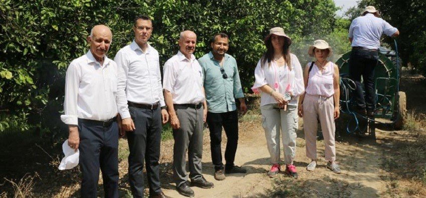 Turunçgilde Akdeniz Meyve Sineğine karşı sıfır toleranslı mücadele