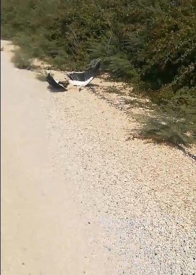 Adana'da leyleklerin göç yolu için çağrı