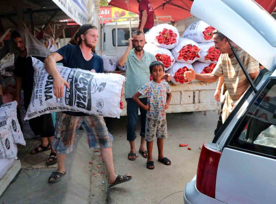 Salça sezonu başladı, damlar kızardı