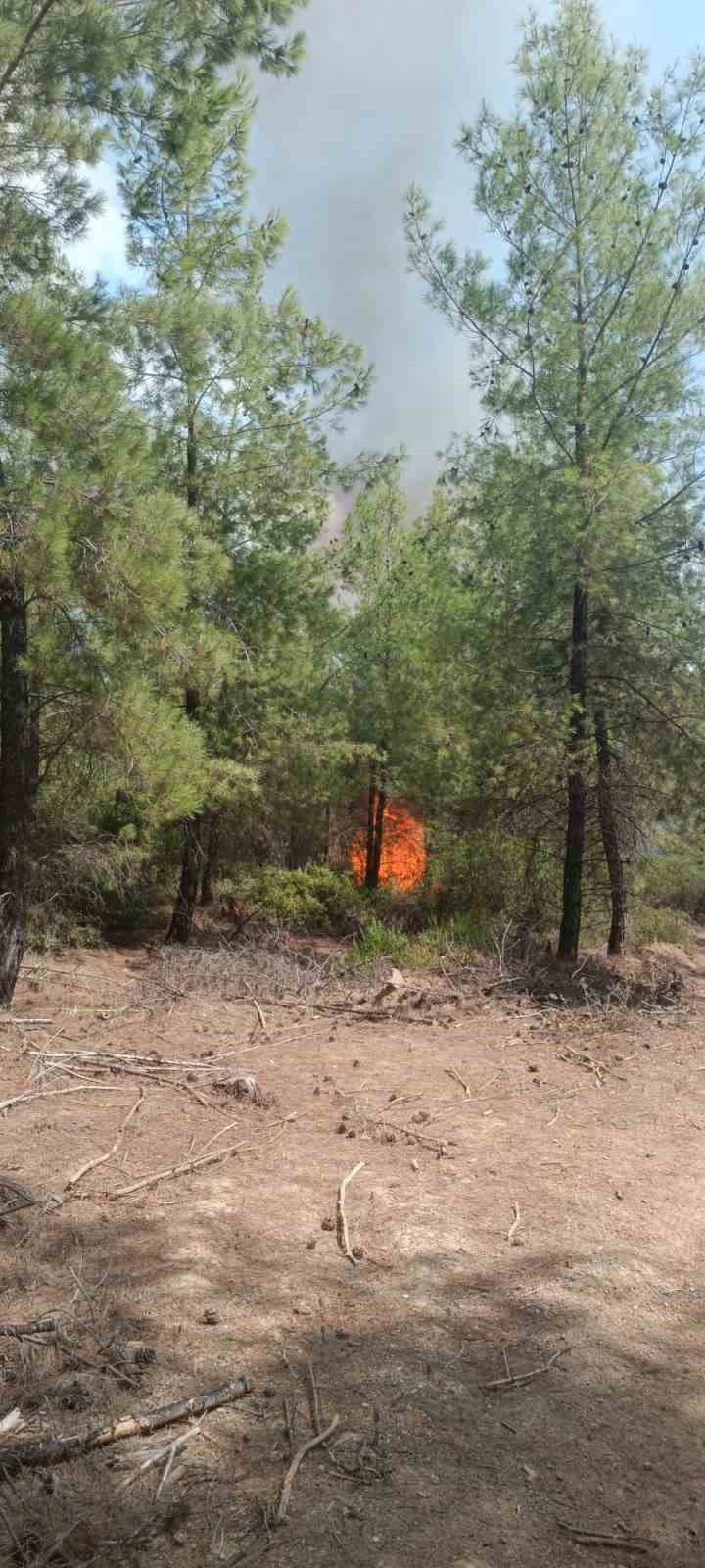 Kozan’da orman yangını