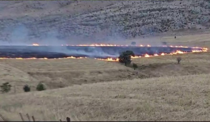 Anız yangını 200 dönüm alanda etkili oldu