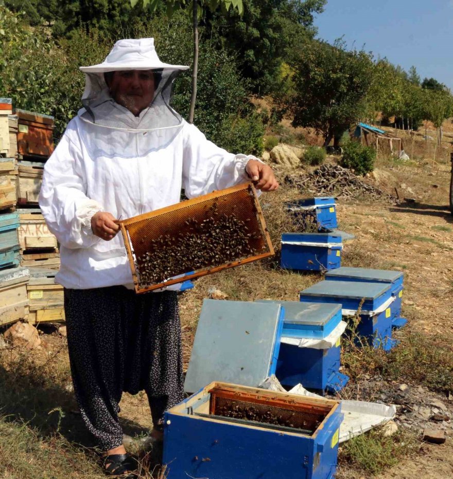 Kadın girişimci devletten önce eğitim, sonra da kredi alarak arıcılığa başladı