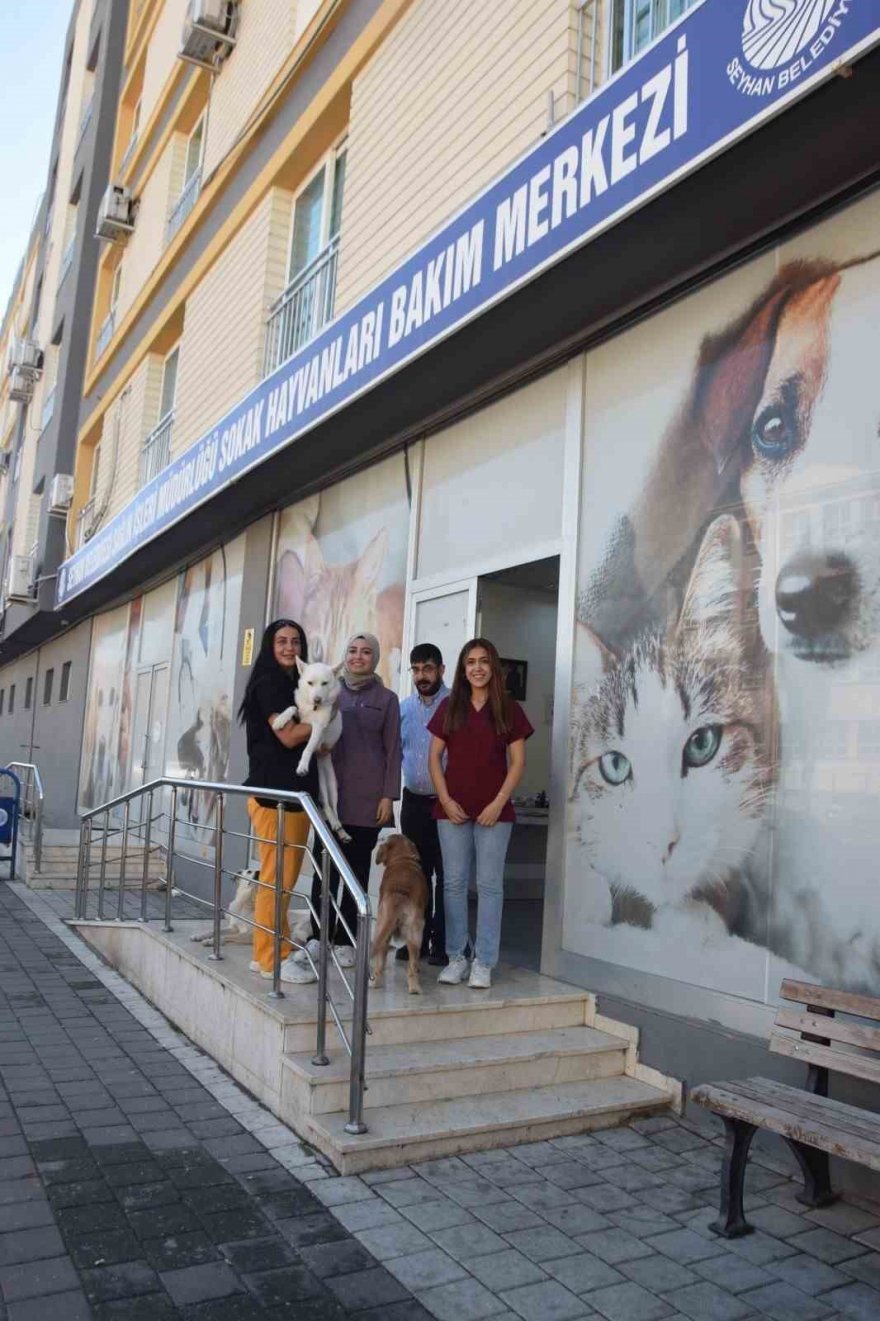 Balıklıoğlu; “Merkezimizde günde 20 kedi kısırlaştırıyoruz”