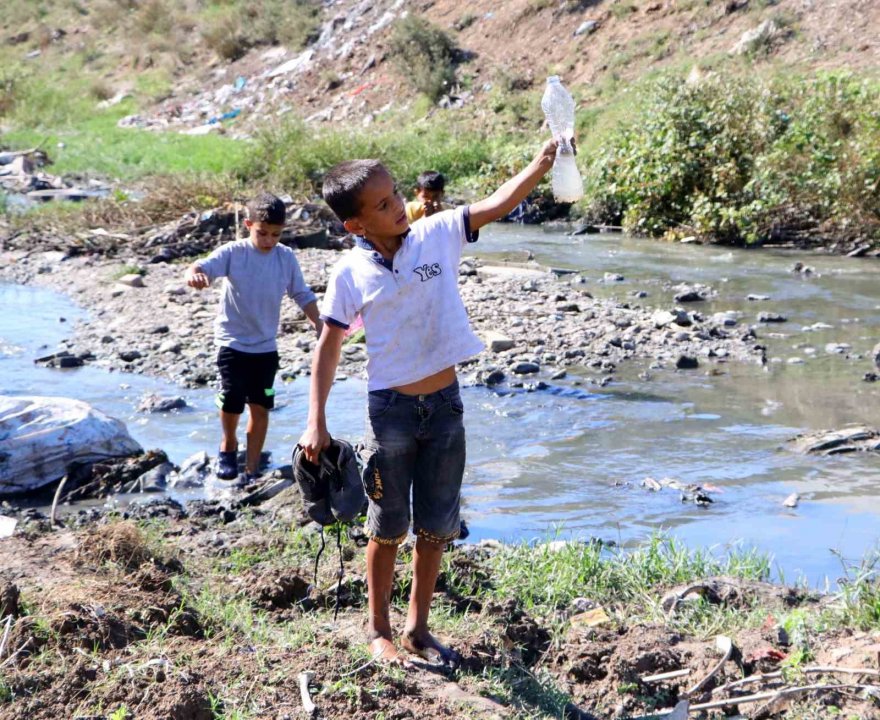 At kemikleri, ölü hayvanlar ve lağım suyu arasında kurbağa avı