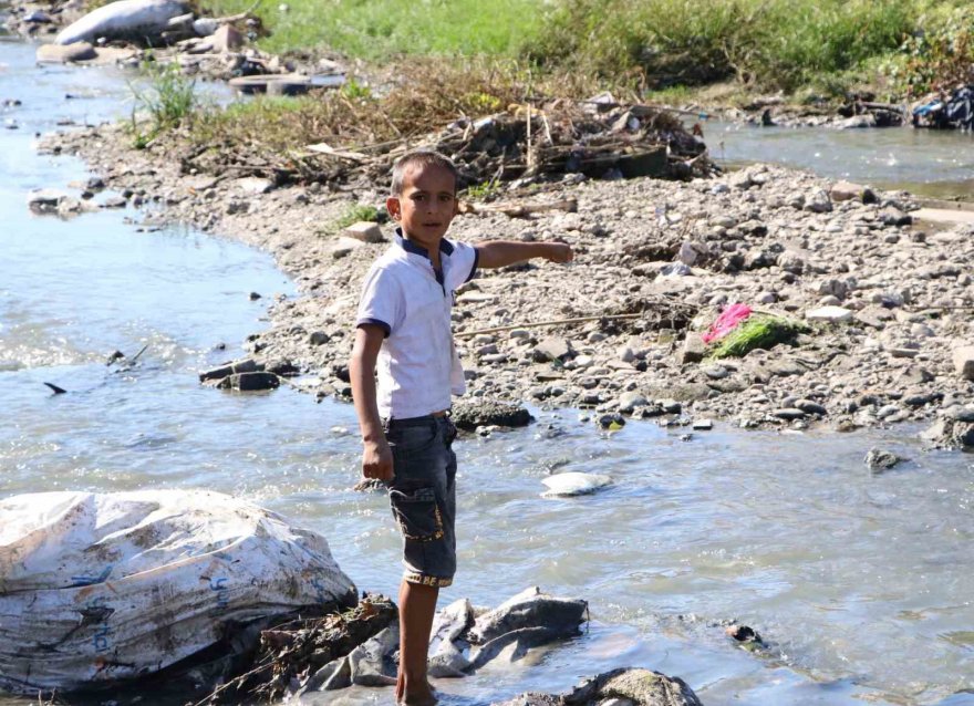 At kemikleri, ölü hayvanlar ve lağım suyu arasında kurbağa avı