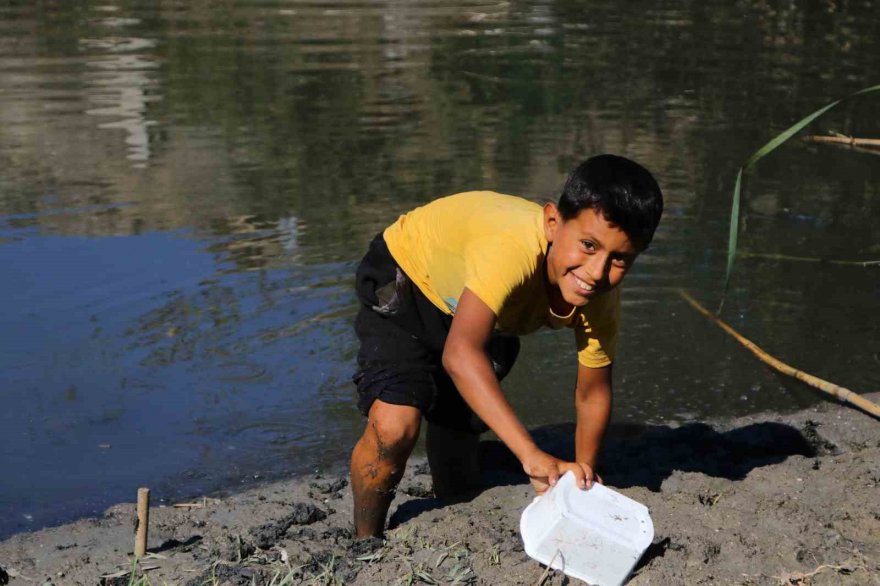 At kemikleri, ölü hayvanlar ve lağım suyu arasında kurbağa avı