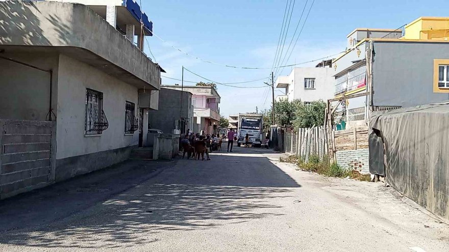 Adanalı Cumhuriyetin 100. yılını kutlarken bir evde kadın ölü bulundu!