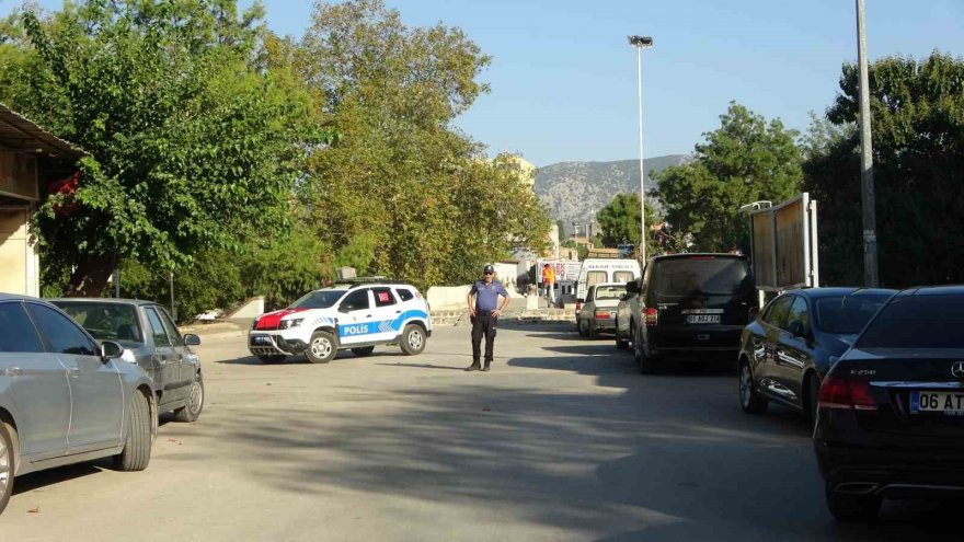 Ağaçta mahsur kalan kedi aşağı atlayınca yürekleri ağızlara getirdi