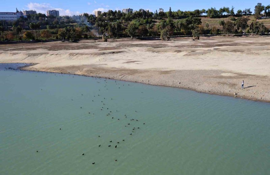 Seyhan Nehri’nde sular kesildi, balıkçılara gün doğdu