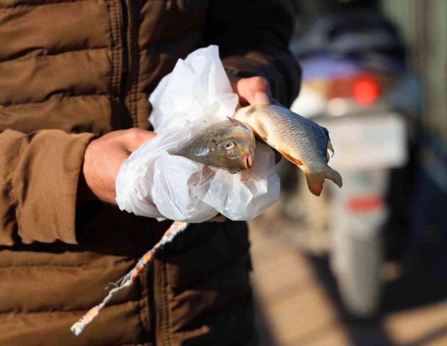 Seyhan Nehri’nde sular kesildi, balıkçılara gün doğdu