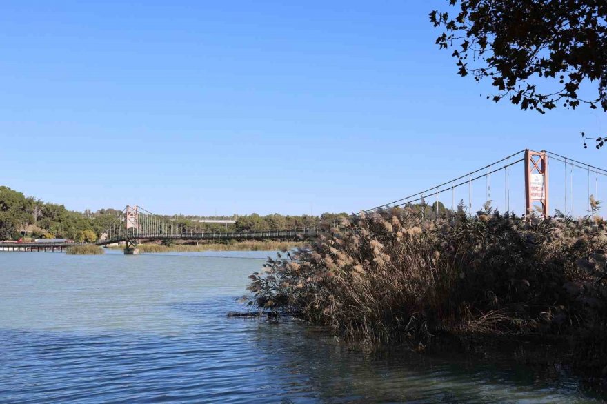 Adana'da gençlik köprüsünde dehşet: 2 genç arkadaşları tarafından öldürüldü